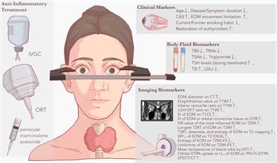 Predictive markers for anti-inflammatory treatment response in thyroid eye disease